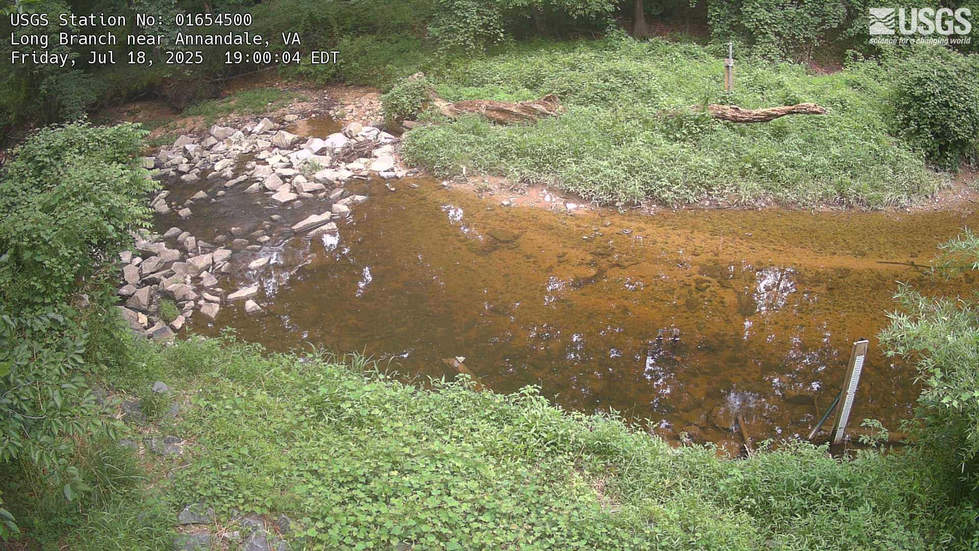 Most recent imagery of the Long Branch stream